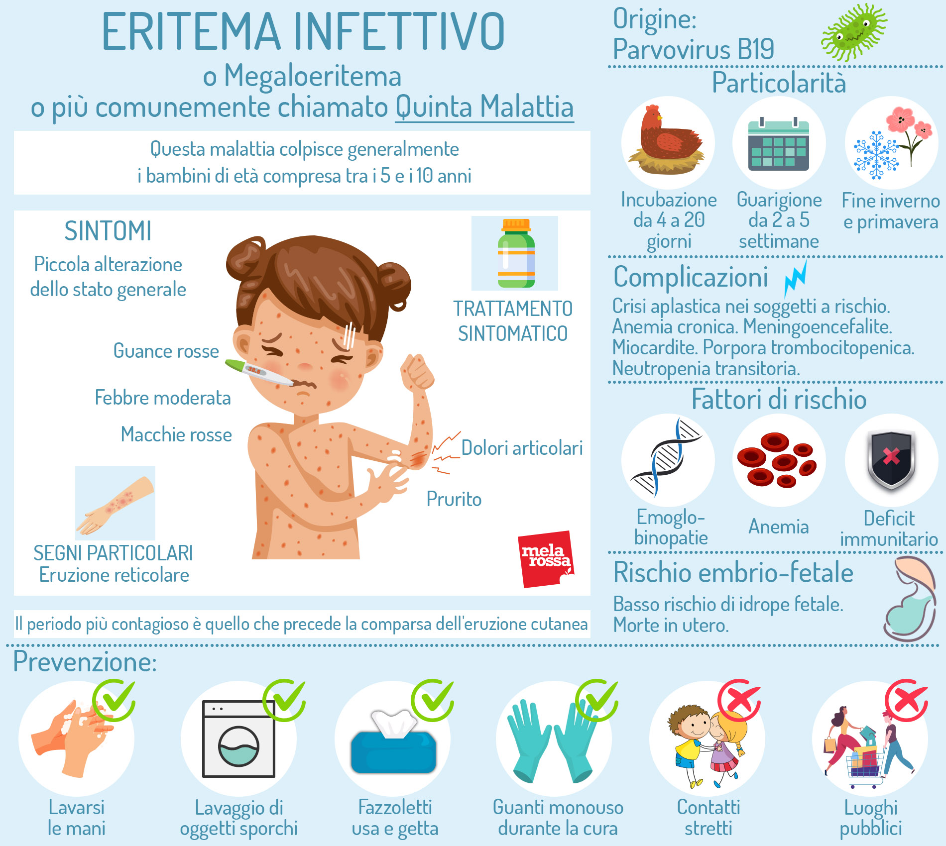 Quinta malattia: cos’è, trasmissione e contagio, sintomi, cure e prevenzione 1 Quinta malattia: sintomi, origine. infografica