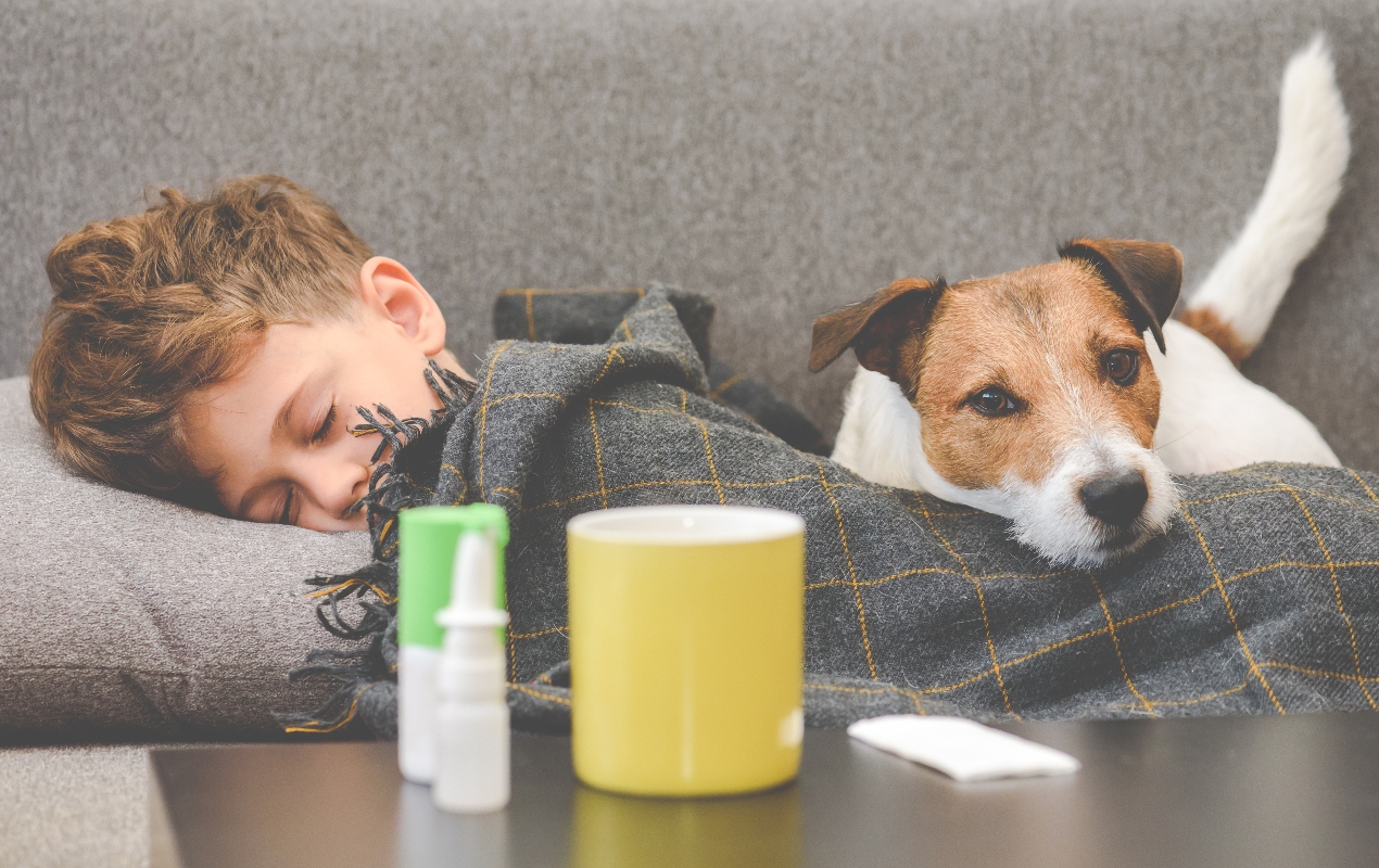 Quinta malattia: cos’è, trasmissione e contagio, sintomi, cure e prevenzione 4 quinta malattia: incubazione