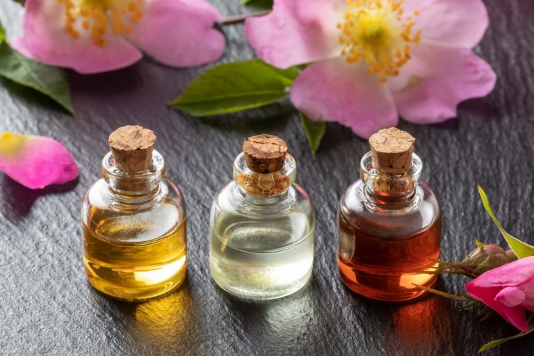 Rimedi naturali per il raffreddore: piante, tisane e rimedi della nonna per prevenire e curare 4 Rimedi naturali raffreddore: rosa canina