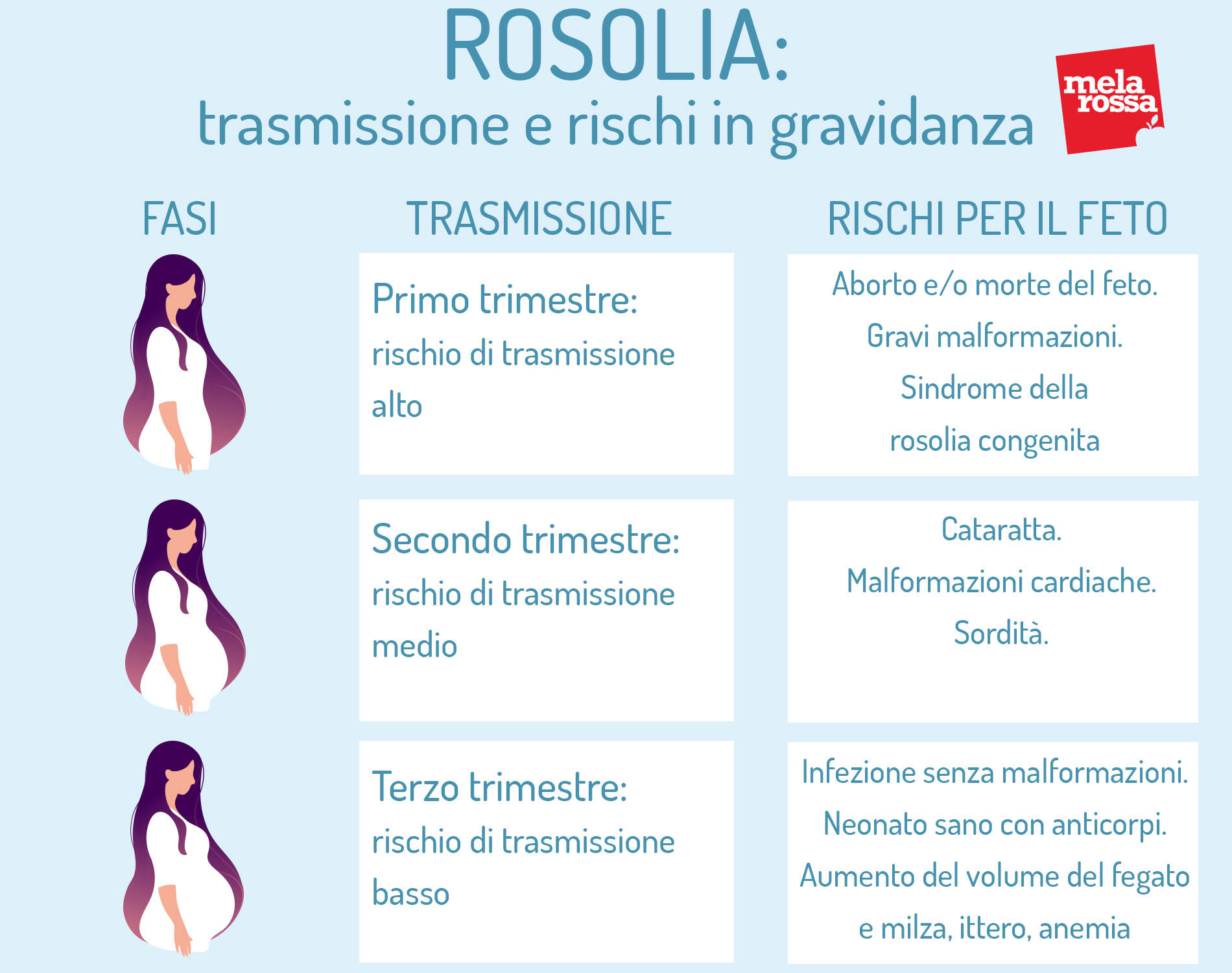 Rosolia: cos'è, cause, contagio, sintomi, diagnosi, cure e prevenzione 7 Rosolia: trasmissione e rischi in gravidanza mese per mese