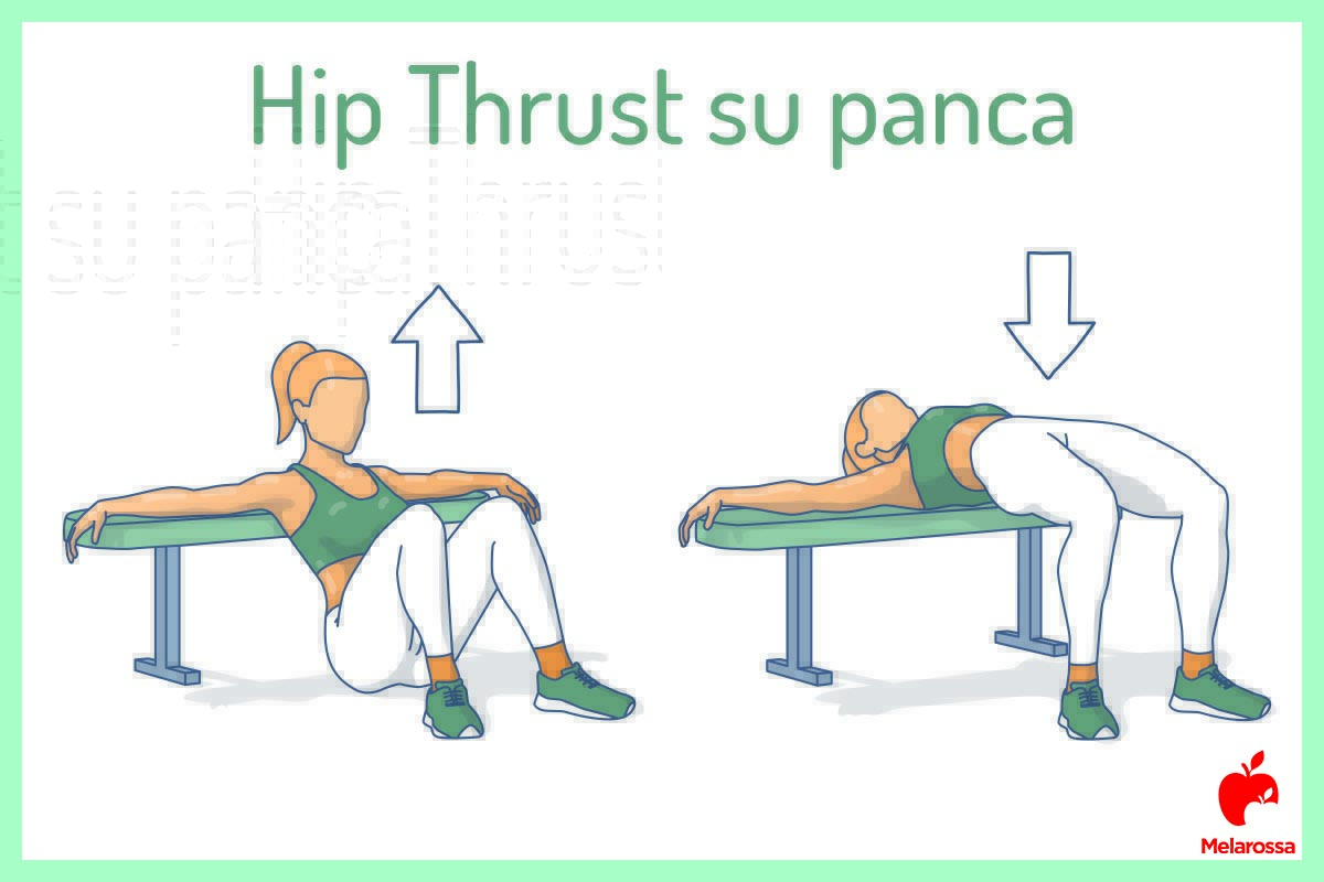 Hip thrust : cos'è, tecnica, benefici e il challenge di 30 giorni per avere dei glutei bombati 5 Hip thrust su panca