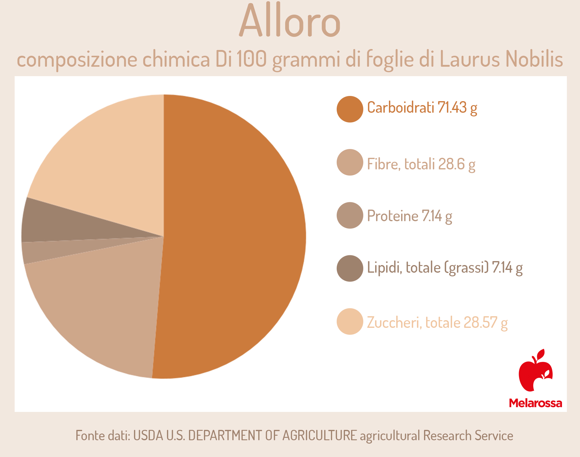 Alloro: coltivazione, proprietà, benefici, trattamenti, controindicazioni ed usi in cucina 1 Alloro: valori nutrizionali