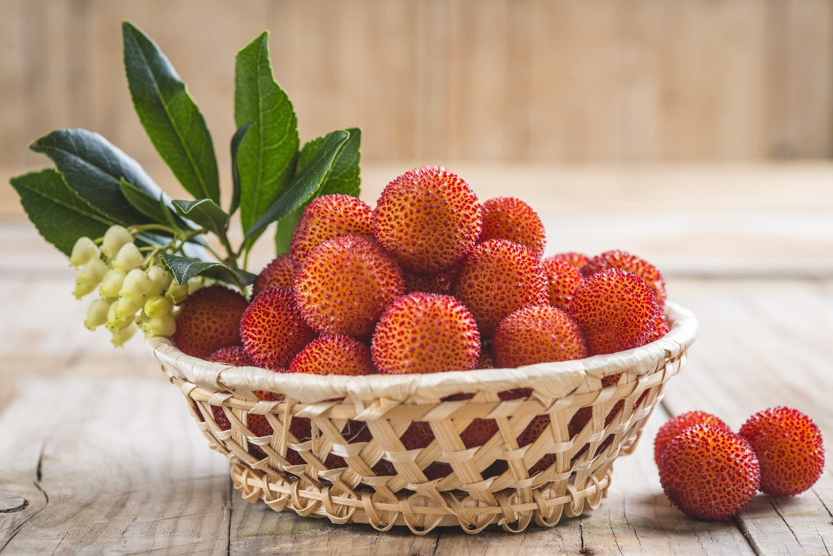 Corbezzolo: cos’è, proprietà, benefici, usi di questo frutto ricco di vitamina C 2 corbezzolo: proprietà e valori nutrizionali
