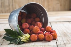 Corbezzolo: cos&rsquo;&egrave;, propriet&agrave;, benefici, usi di questo frutto ricco di vitamina C