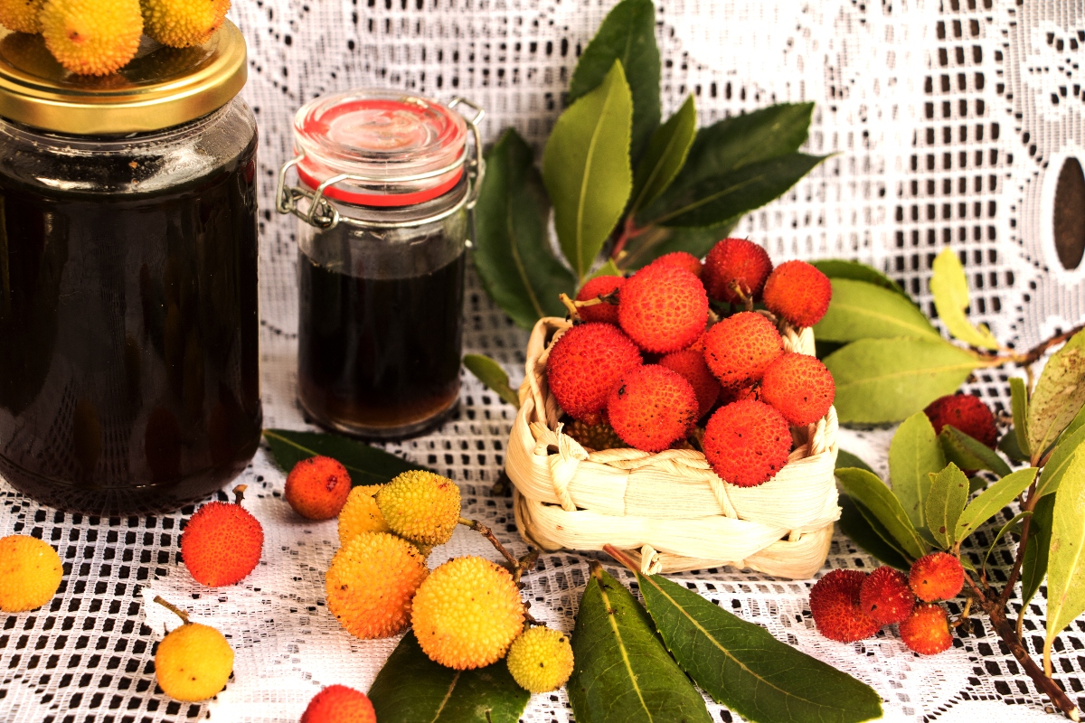 Corbezzolo: cos’è, proprietà, benefici, usi di questo frutto ricco di vitamina C 4 corbezzolo: usi in cucina