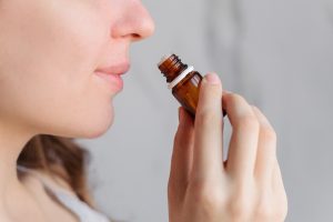 Eucalipto: botanica, coltivazione, propriet&agrave; terapeutiche, benefici, usi e controindicazioni