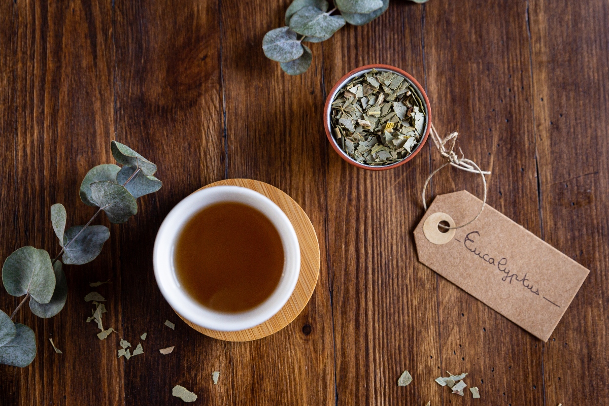 Eucalipto: botanica, coltivazione, proprietà terapeutiche, benefici, usi e controindicazioni 3 eucalipto: usi in erboristeria