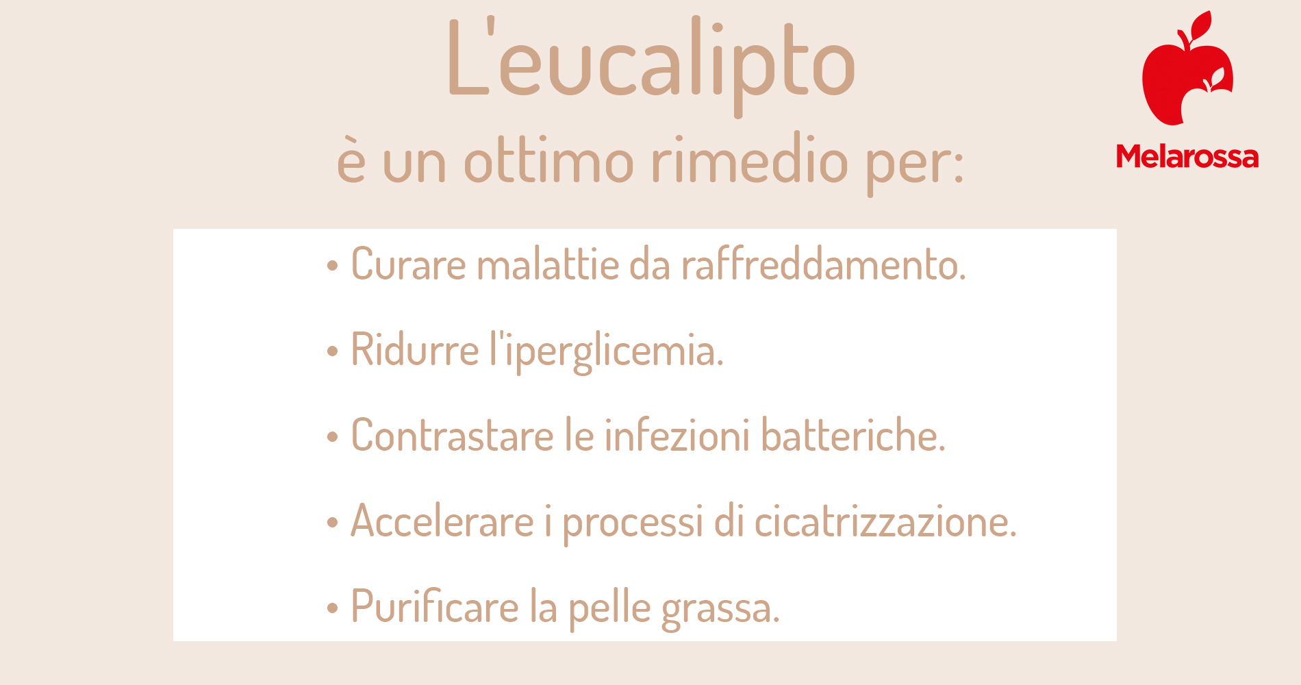 Eucalipto: botanica, coltivazione, proprietà terapeutiche, benefici, usi e controindicazioni 2 eucalipto: trattamenti