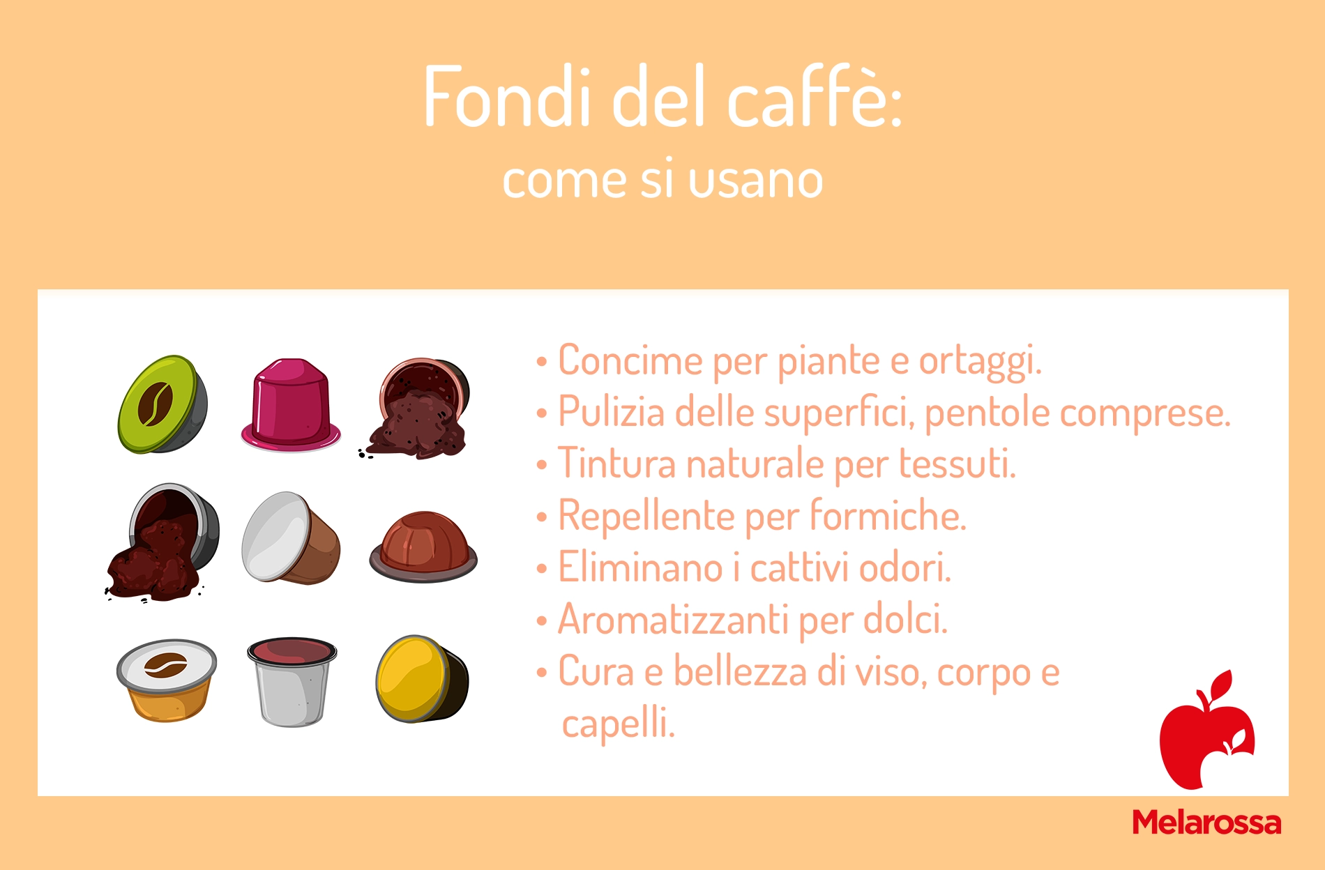 Fondi di caffè: usi in cucina, in giardino e come prodotto di bellezza 1 Fondi del caffè: a cosa servono
