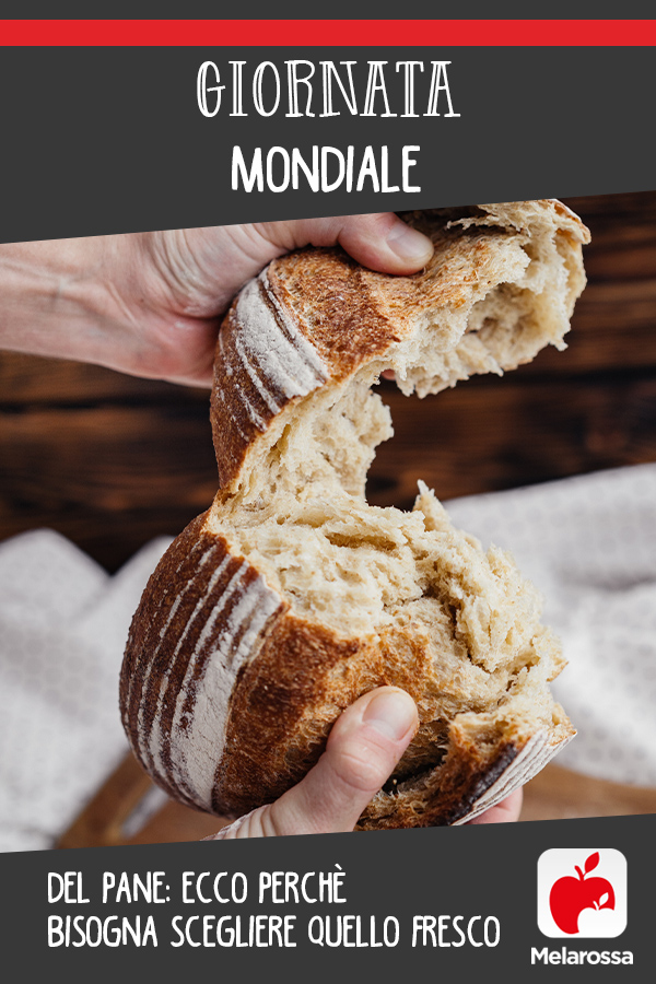 Giornata mondiale del pane: ecco perché bisogna scegliere quello fresco 2 giornata mondiale pane