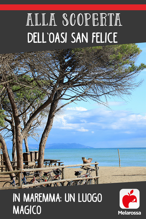 Alla scoperta dell'Oasi San Felice in Maremma: un luogo magico 11 oasi san felice maremma pin