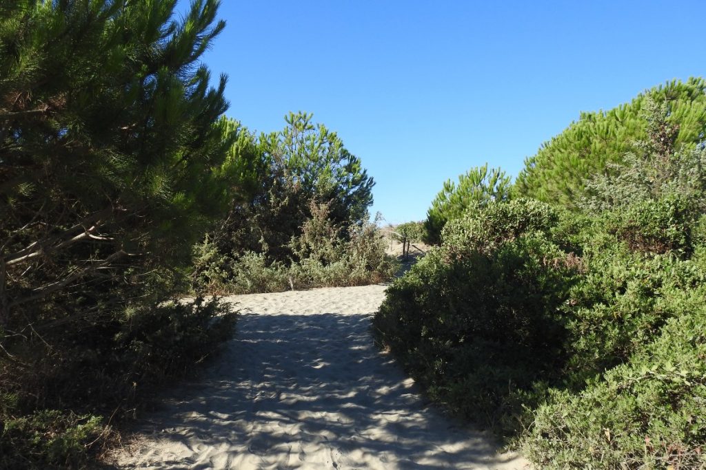 Alla scoperta dell'Oasi San Felice in Maremma: un luogo magico 5 oasi san felice 9