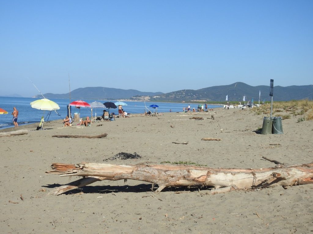 Alla scoperta dell'Oasi San Felice in Maremma: un luogo magico 6 oasi san felice spiaggia