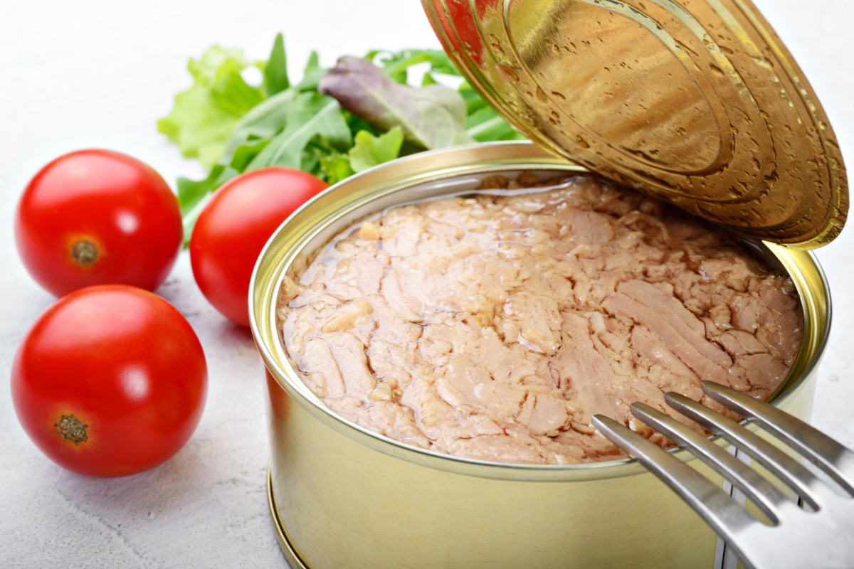 La differenza tra olio di oliva ed extravergine 1 olio del tonno in scatola