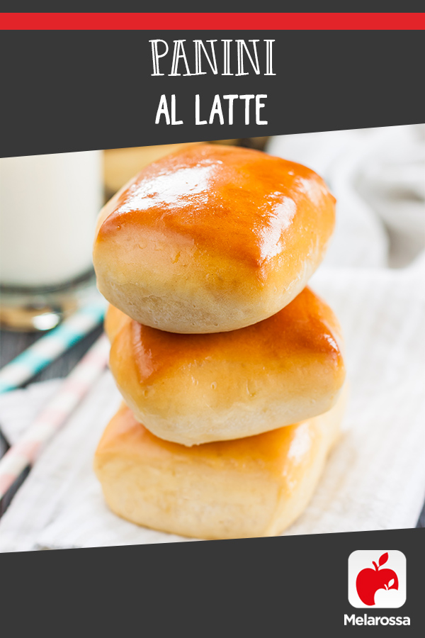 Panini al latte: ricetta semplice, leggera e gustosa 2 Panini al latte: ricetta soffice e gustosa