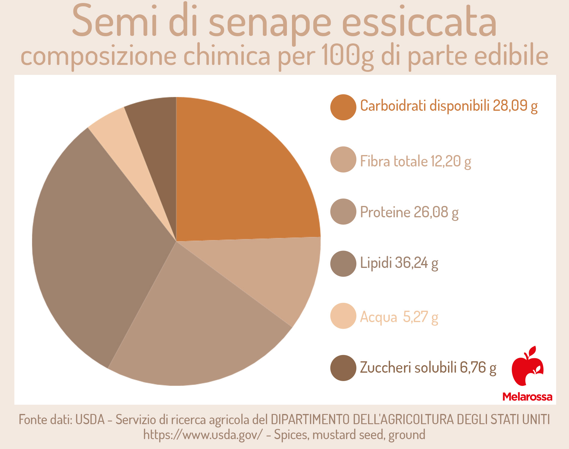 Senape: cos'è, proprietà nutrizionali, benefici per la salute, controindicazioni e usi in cucina 1 semi di senape: composizione chimica