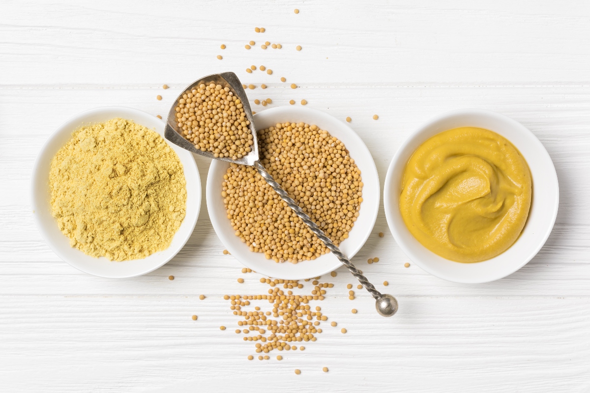Senape: cos'è, proprietà nutrizionali, benefici per la salute, controindicazioni e usi in cucina 5 senape: come consumarla