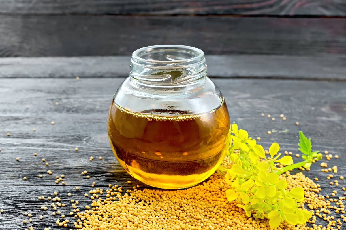 Senape: cos'è, proprietà nutrizionali, benefici per la salute, controindicazioni e usi in cucina 4 senape: olio