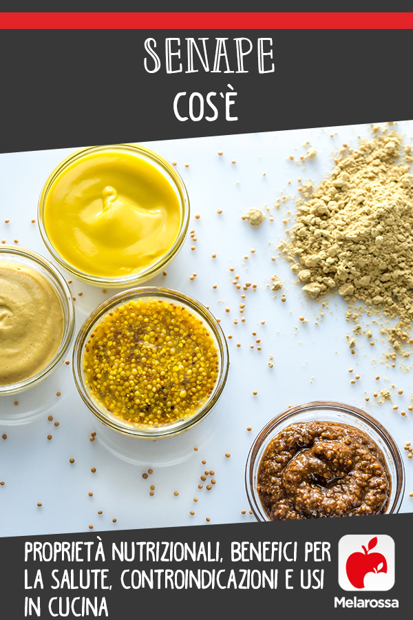 Senape: cos'è, proprietà nutrizionali, benefici per la salute, controindicazioni e usi in cucina 13 senape: cos'è, valori nutrizionali, benefici e usi