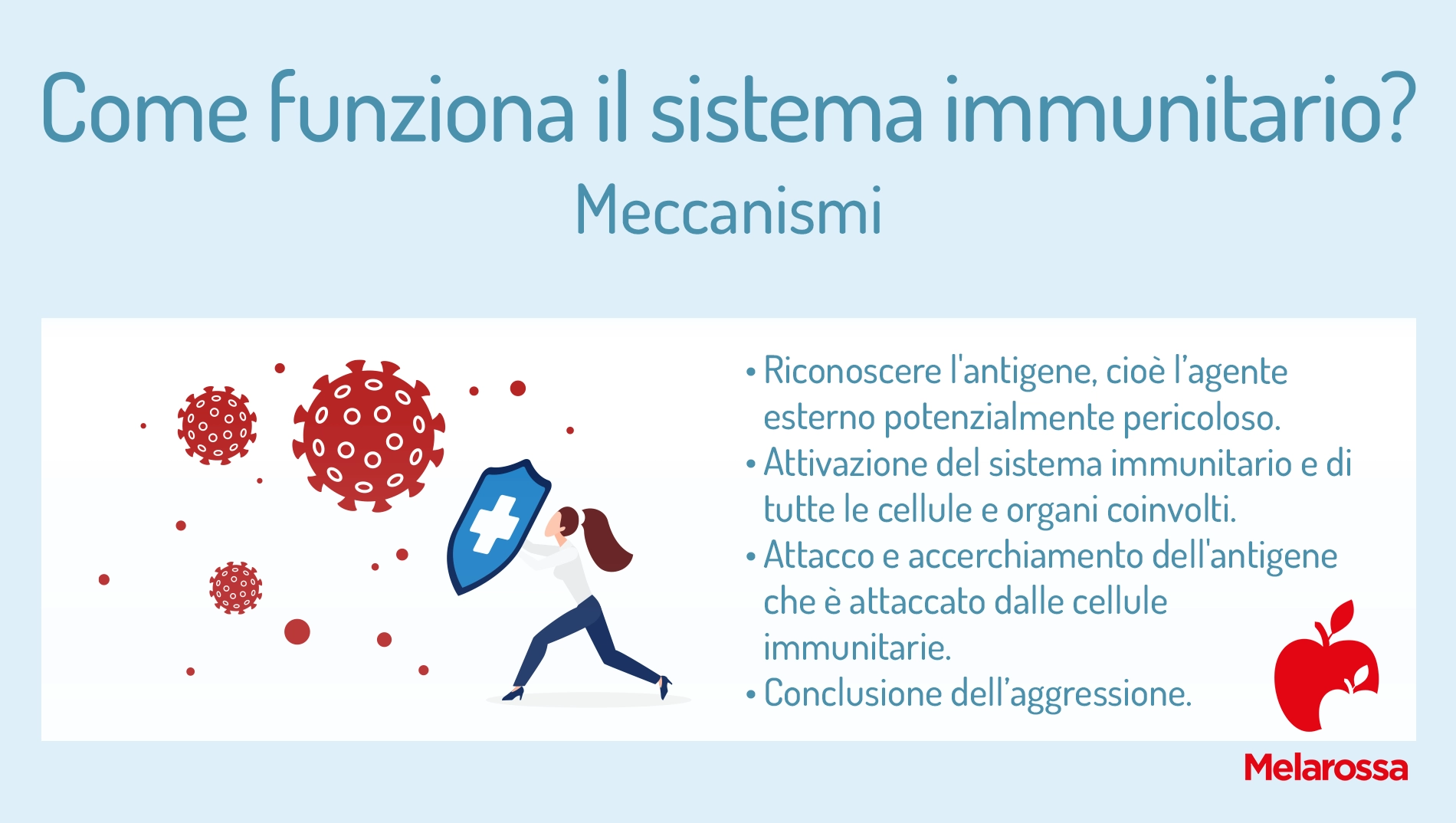 Sistema immunitario: cos'è, come funziona e come rinforzarlo 2 come funziona il sistema immunitario