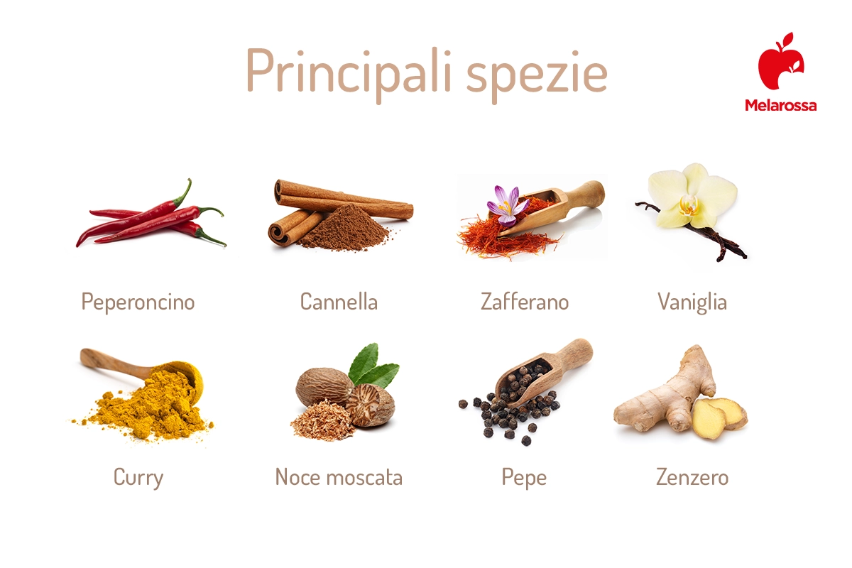 Spezie: l'elenco completo, quali sono e come usarle 1 principali spezie
