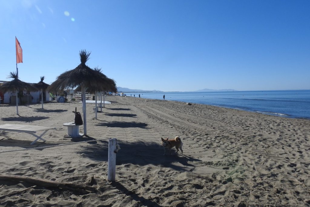 Alla scoperta dell'Oasi San Felice in Maremma: un luogo magico 9 spiaggia con sullo sfondo monte argentario e isola del giglio