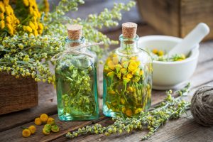 Assenzio: cos&rsquo;&egrave;, propriet&agrave; terapeutiche, usi e controindicazioni