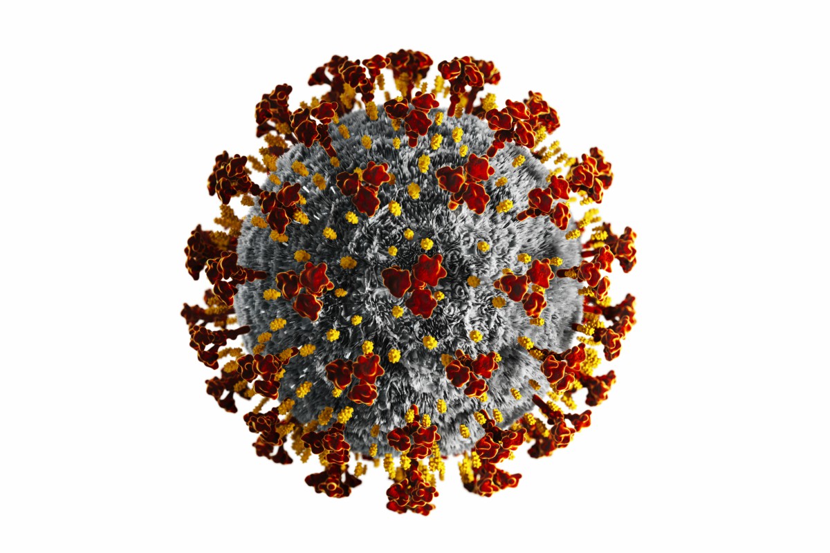 Coronavirus: la naringenina presente negli agrumi è il tallone d’Achille del virus? 1 coronavirus-tallone-dachille