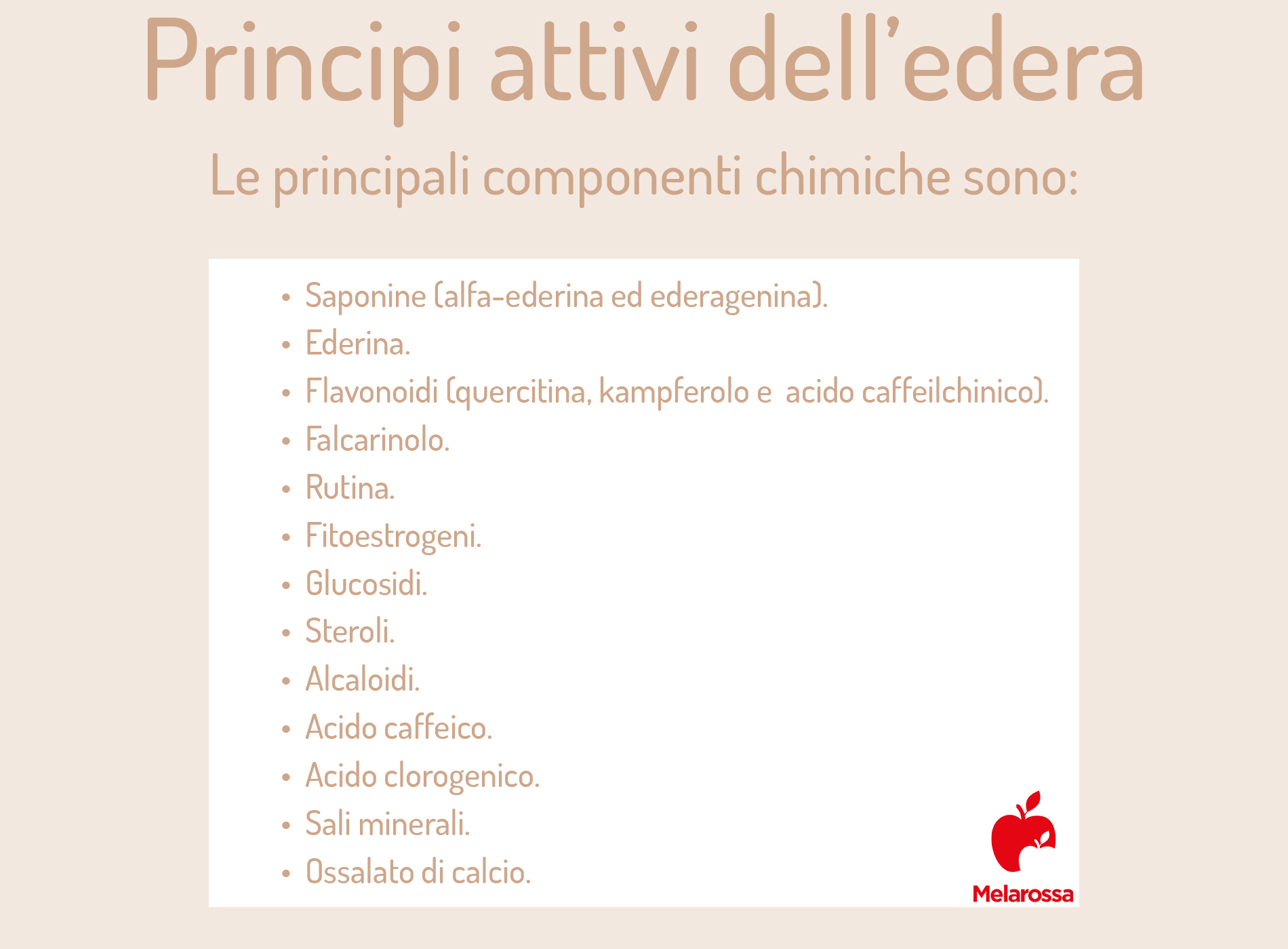 Edera: la pianta rampicante tra coltivazione, benefici, rimedi naturali, effetti collaterali 2 edera: principi attivi
