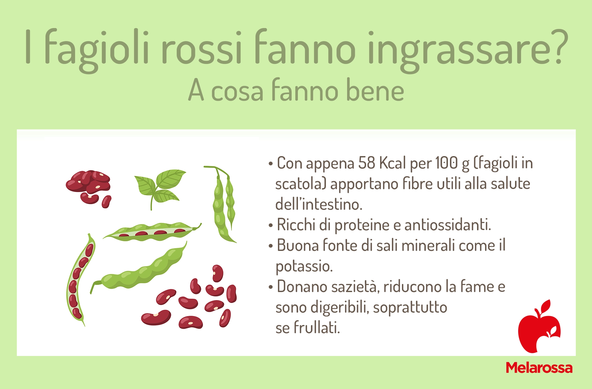 Fagioli rossi, benefici, ricette e quanti mangiarne 2 I fagioli rossi fanno ingrassare?