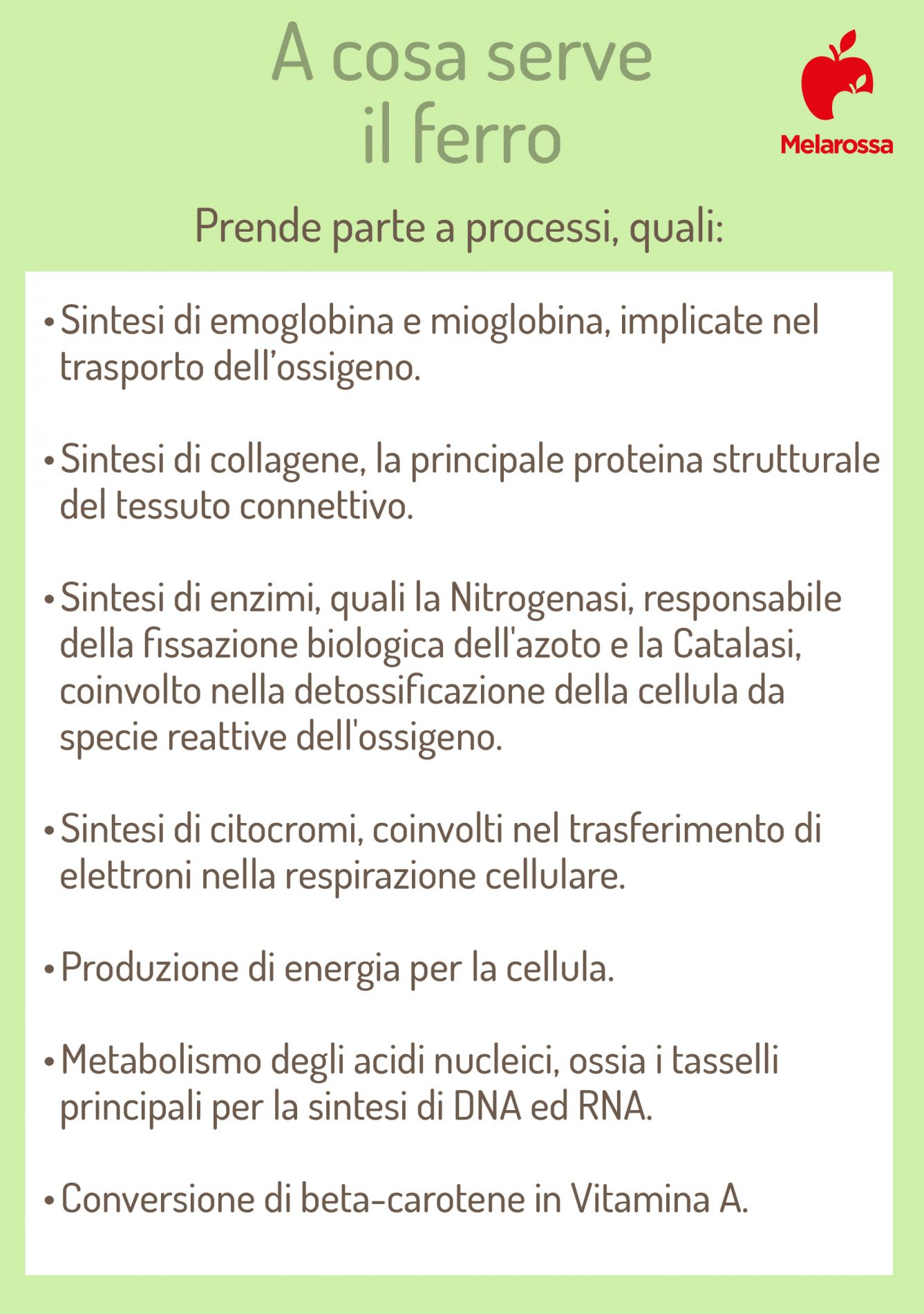 Ferro: cos’è, a cosa serve, fabbisogno giornaliero, proprietà e quando assumerlo 1 ferro: a cosa serve