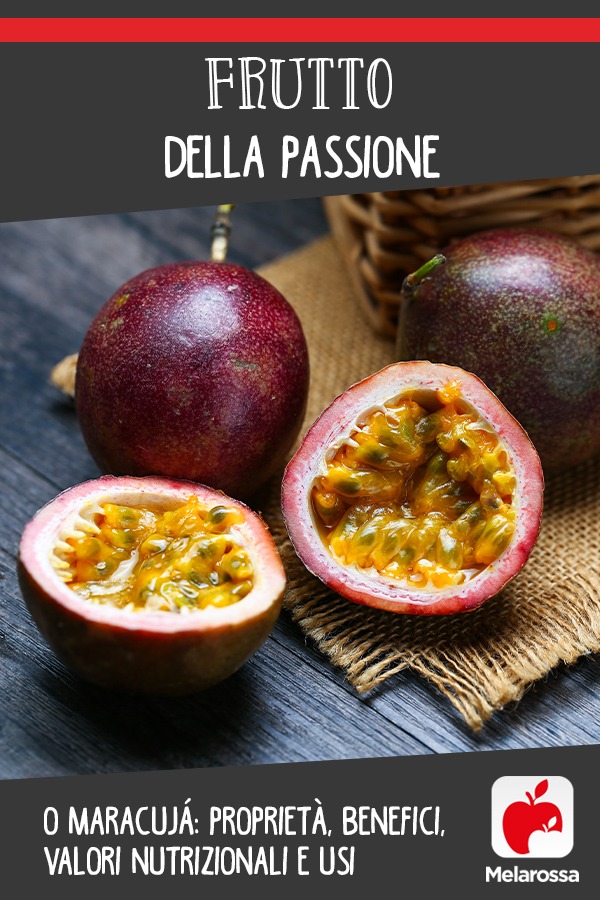 Frutto della passione o maracujà: proprietà, benefici, valori nutrizionali e usi 8 frutto della passione: cos'è, proprietà, benefici, valori nutrizionali e usi