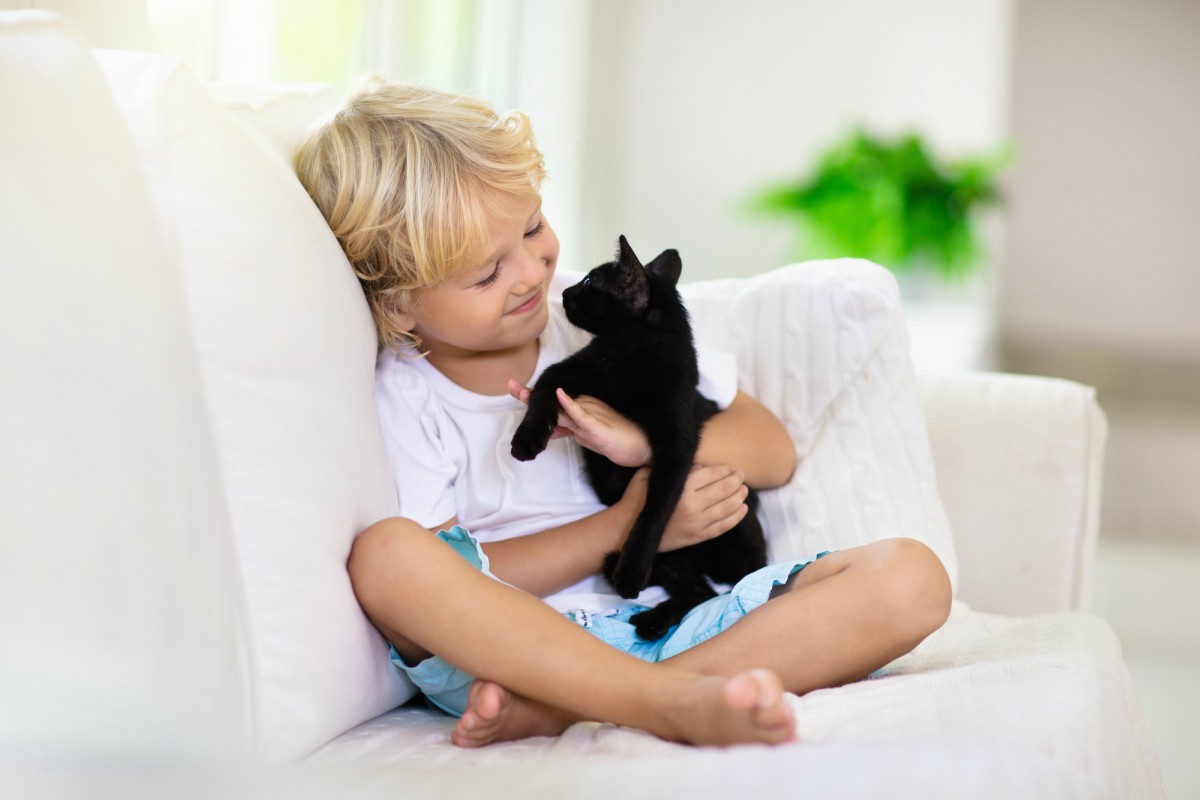 Gattini: perchè la loro compagnia ha effetti benefici sulla nostra salute 1 gatti-e-bambini