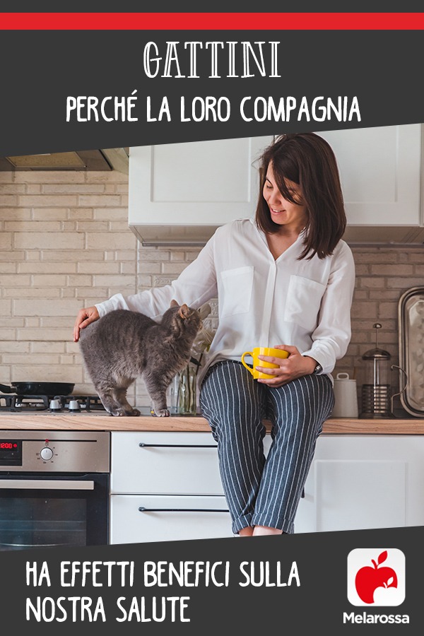 Gattini: perchè la loro compagnia ha effetti benefici sulla nostra salute 2 gatti-fanno-bene