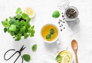 Melissa: cos&rsquo;&egrave;, propriet&agrave;, benefici terapeutici, usi