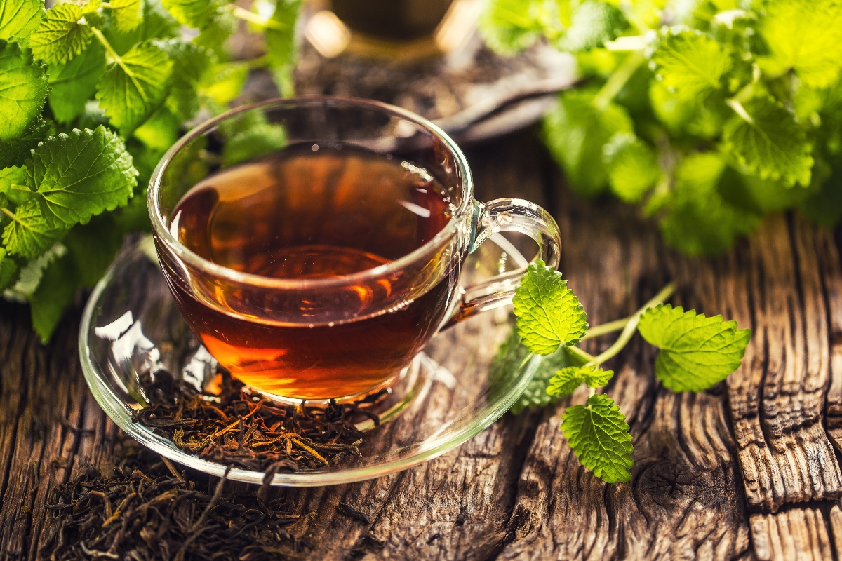 Melissa: cos'è, proprietà, benefici terapeutici, usi 6 melissa: ricette tisane