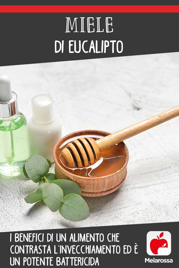 Miele di eucalipto: i benefici di un alimento che contrasta l’invecchiamento ed è un potente battericida 2 miele-eucalipto-benefici