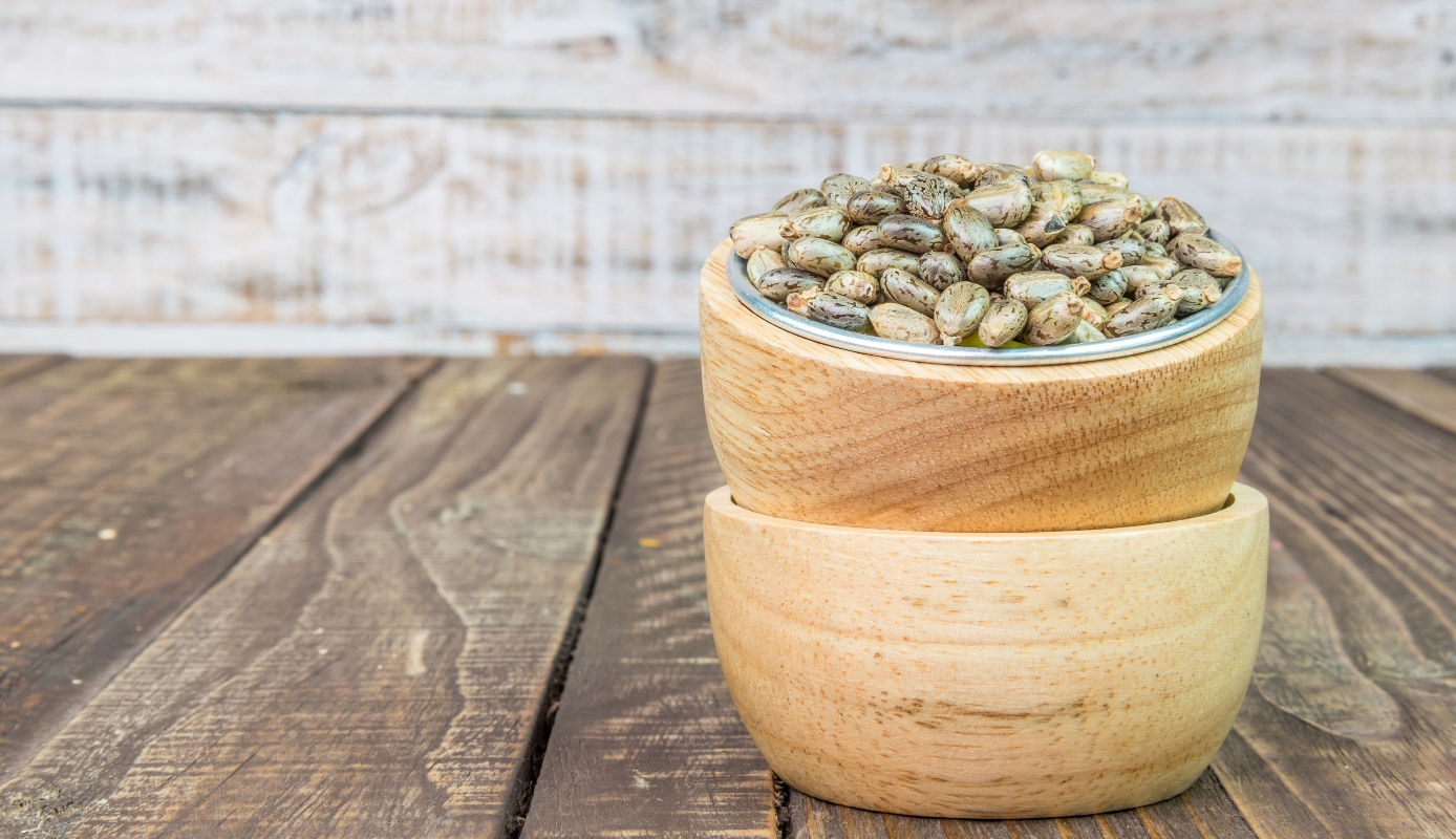 Olio di ricino: cos'è, proprietà, benefici, usi, ricette di bellezza, controindicazioni 9 olio di ricino: semi