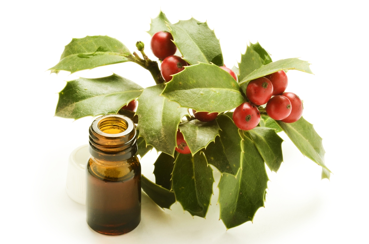 Pungitopo: proprietà, botanica, benefici, controindicazioni, modalità d'uso e ricette 8 pungitopo: guida all'acquisto