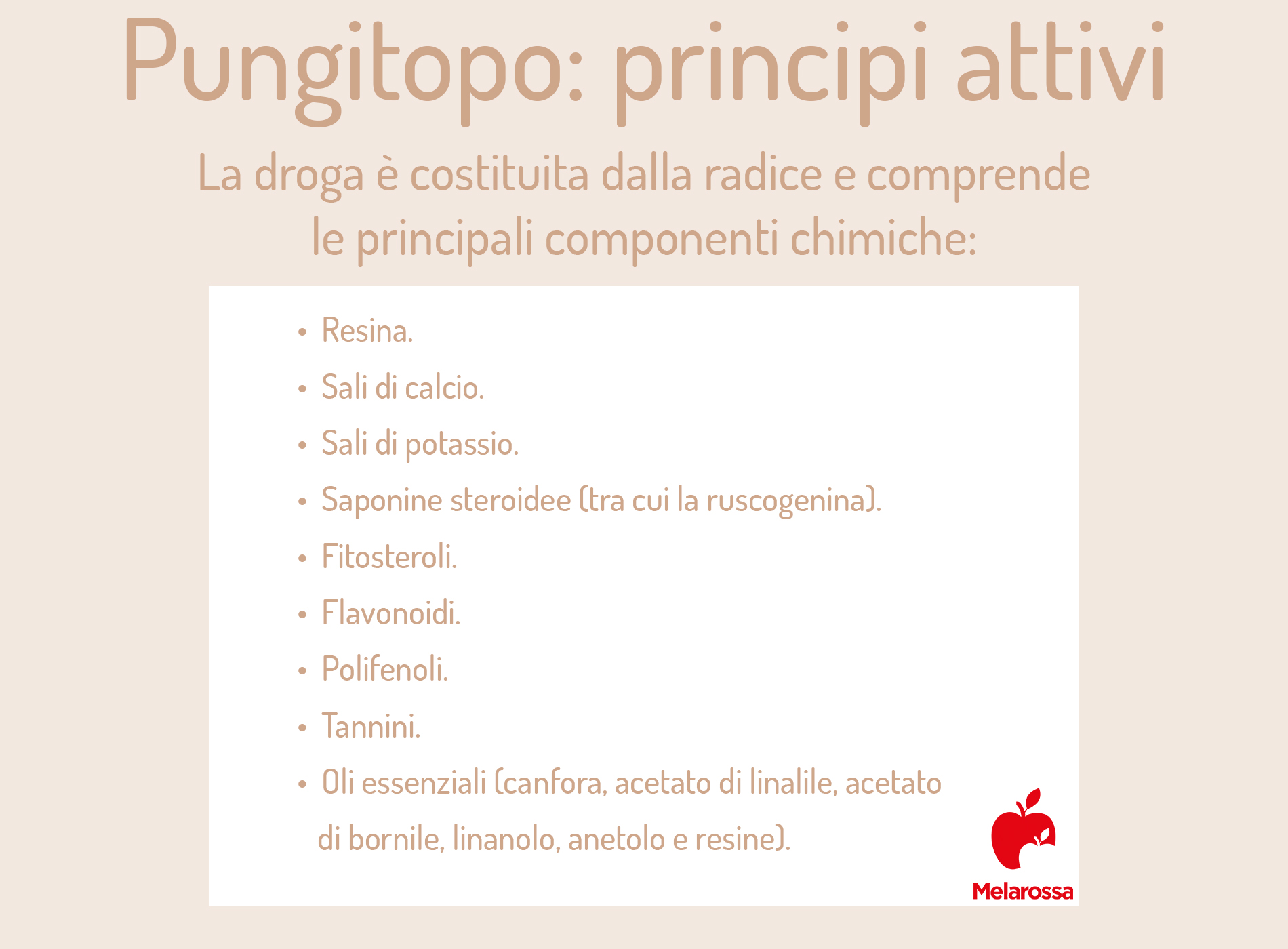 Pungitopo: proprietà, botanica, benefici, controindicazioni, modalità d'uso e ricette 2 pungitopo: principi attivi