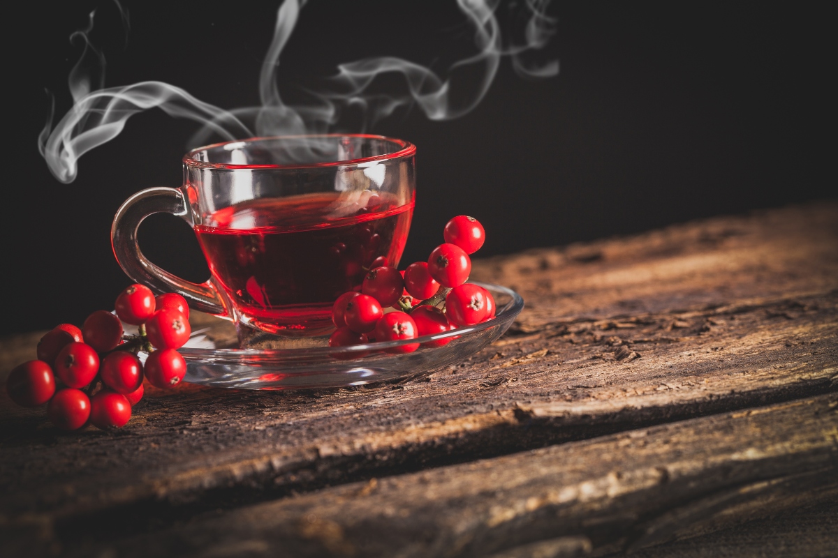 Pungitopo: proprietà, botanica, benefici, controindicazioni, modalità d'uso e ricette 6 pungitopo. ricette