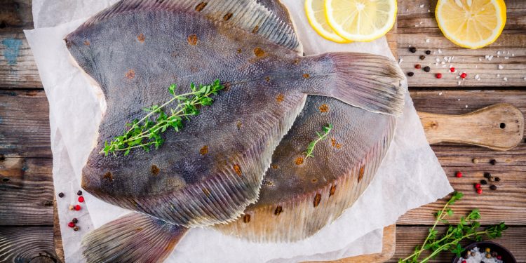 Dall’antipasto al dolce: il menù perfetto e leggero per un pranzo autunnale 3 rombo-al-forno