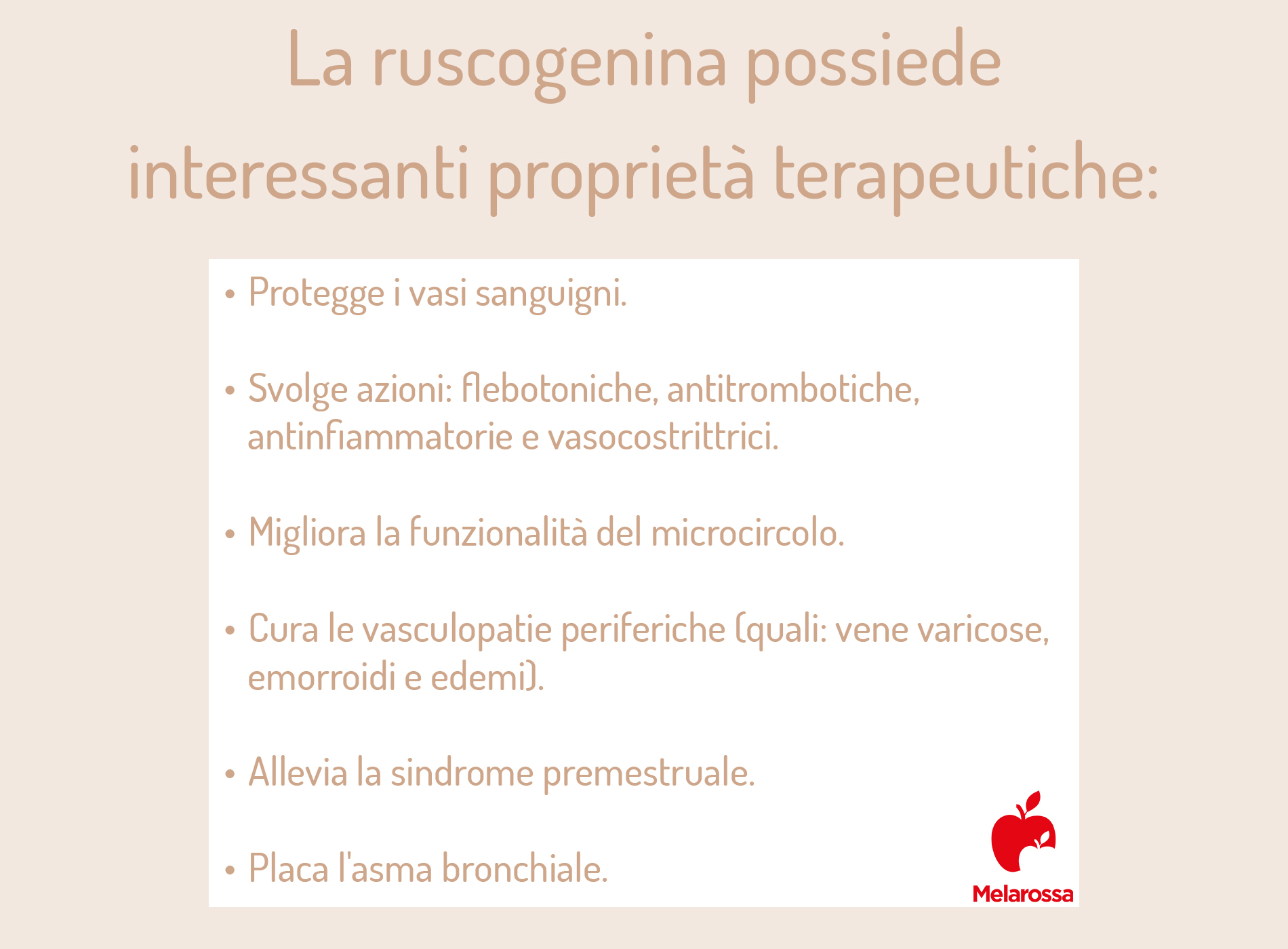 Pungitopo: proprietà, botanica, benefici, controindicazioni, modalità d'uso e ricette 5 pungitopo e ruscogenina: benefici