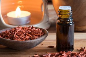 Sandalo: la pianta dal profumo inebriante tra propriet&agrave;, benefici, botanica, usanze popolari e controindicazioni