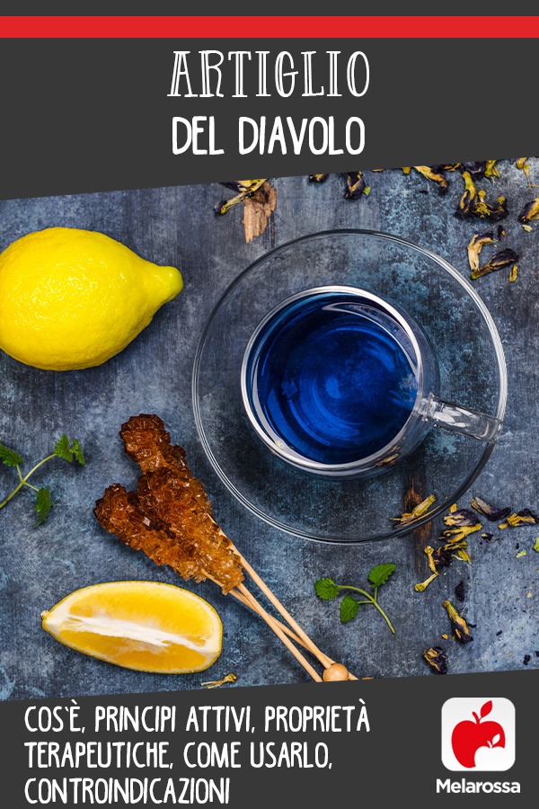 Artiglio del diavolo: cos’è, principi attivi, proprietà terapeutiche, come usarlo, controindicazioni 9 artiglio del diavolo cos e prinicpi attivi benefici come usarlo