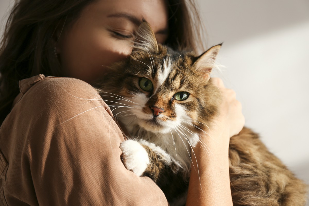 Il gatto riconosce il suo nome: ecco perché decide di ignorarci deliberatamente 1 gatto-atteggiamento