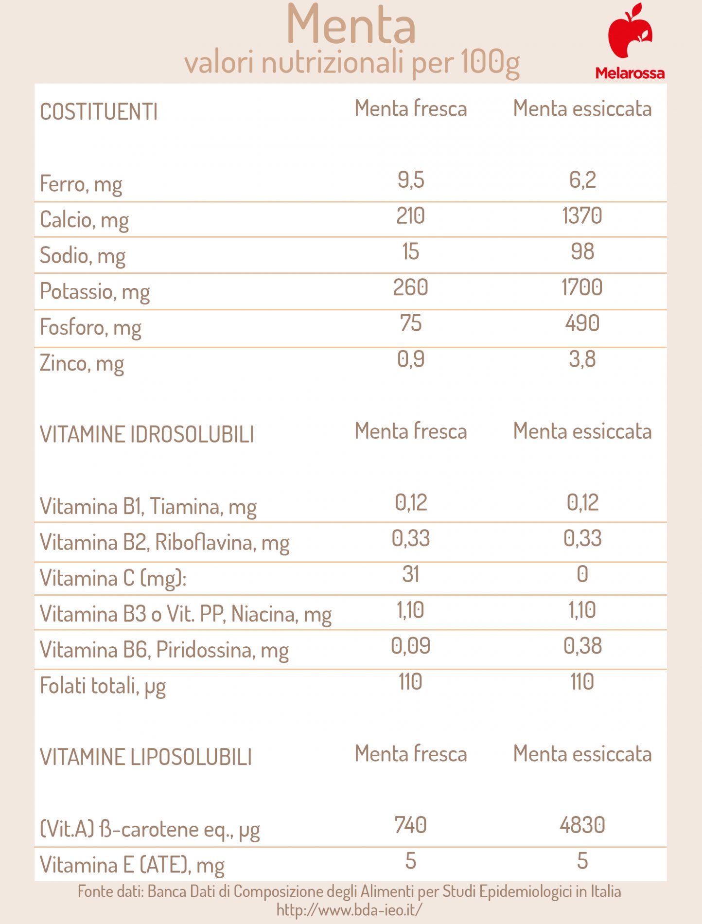Menta: proprietà, benefici e usi in cucina e bellezza 2 menta : valori nutrizionali