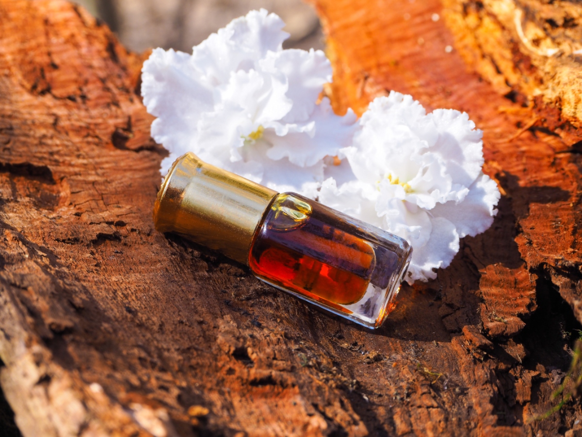Sandalo: la pianta dal profumo inebriante tra proprietà, benefici, botanica, usanze popolari e controindicazioni 6 olio essenziale di sandalo: come usarlo