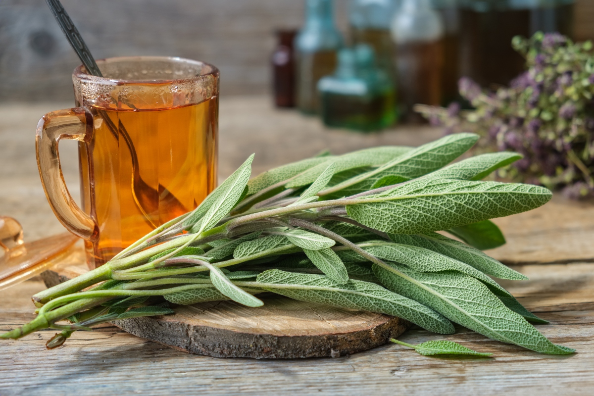 Salvia: proprietà, usi erboristici e ricette 2 In primo piano un mazzetto di salvia e una tazza in vetro con una tisana di salvia