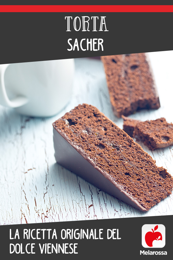 Torta Sacher: la ricetta originale del dolce viennese 8 torta sacher: pinterest